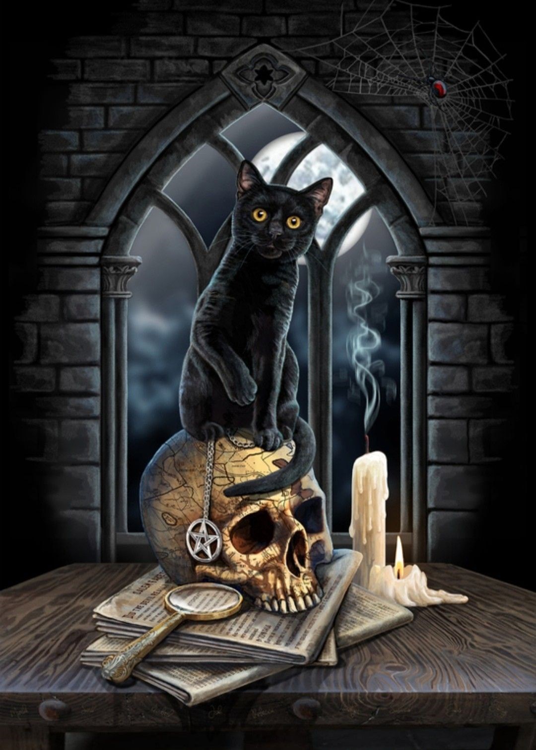 Коты ужас помощники ведьм