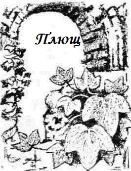Обложка произведения Плющ