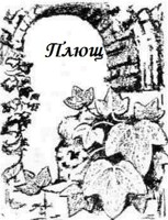 Обложка произведения Плющ