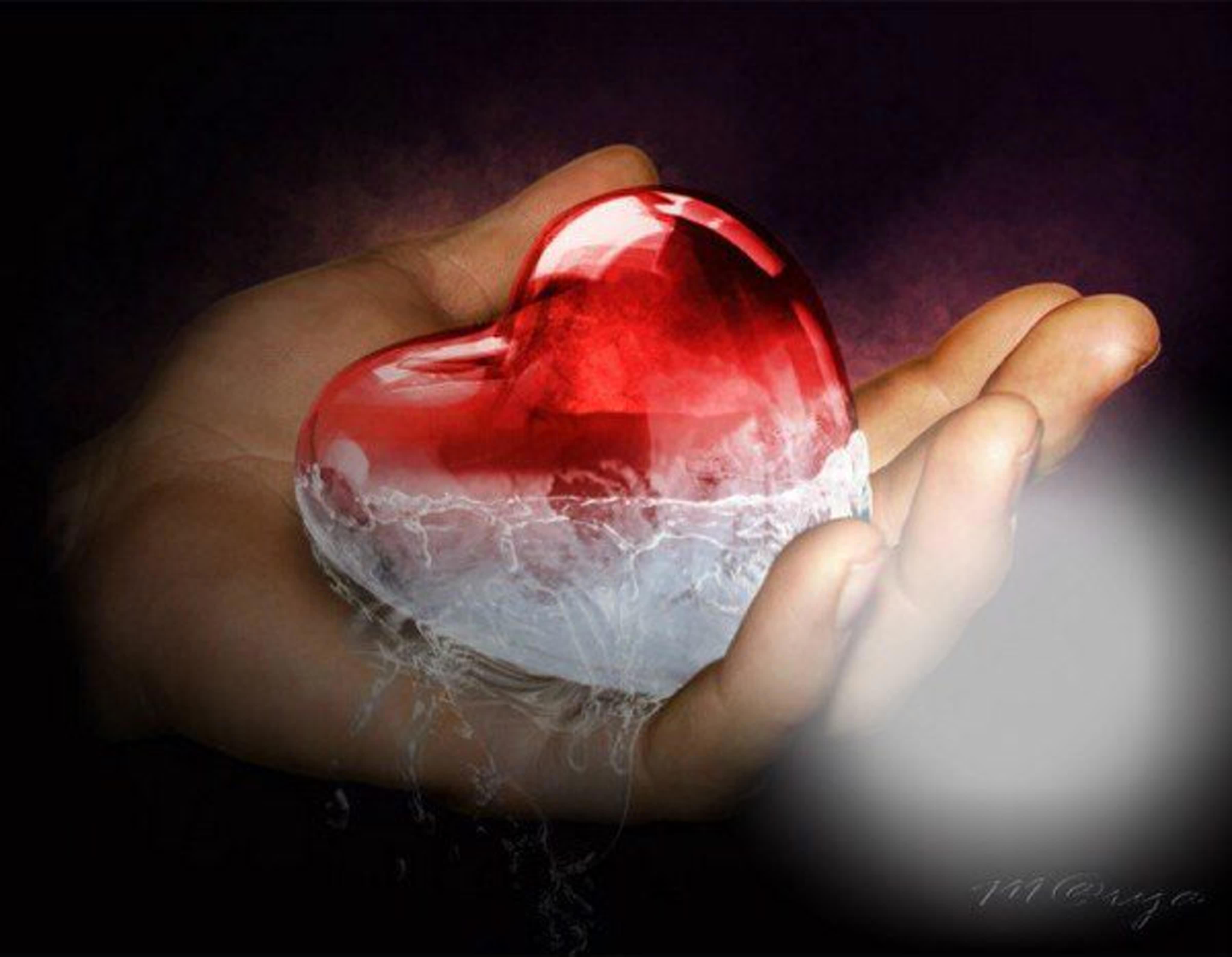 Любовь греет сердца. Ледяное сердце. Сердце в руках. Сердце изо льда. Сердце во льду.
