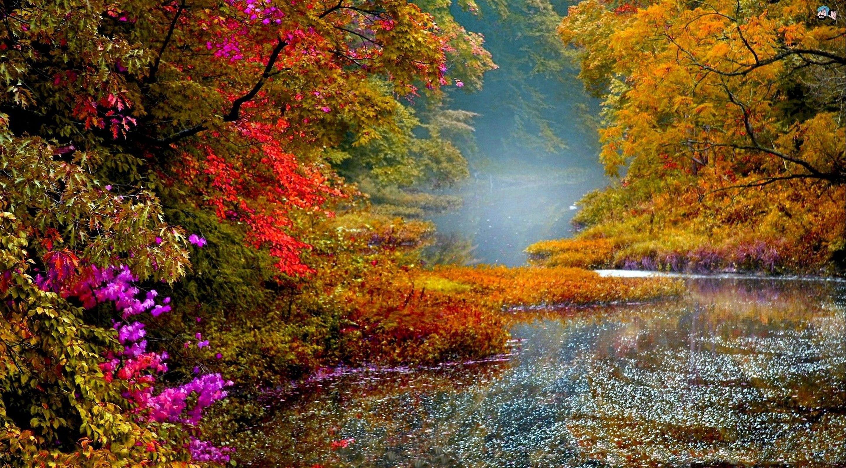 Очень красивая осень. Осенняя природа. Осенний пейзаж. Яркие краски природы.