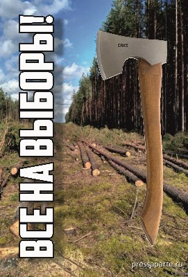 Обложка произведения Все на выборы