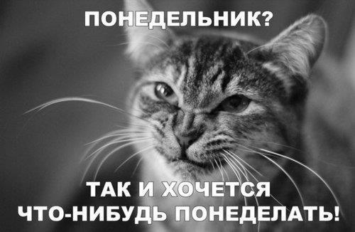 8bce9c297b514b8b9a2583402134cfc9.jpg