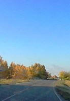 Обложка произведения Печалька