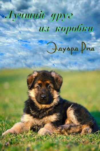 Обложка произведения Лучший друг из коробки