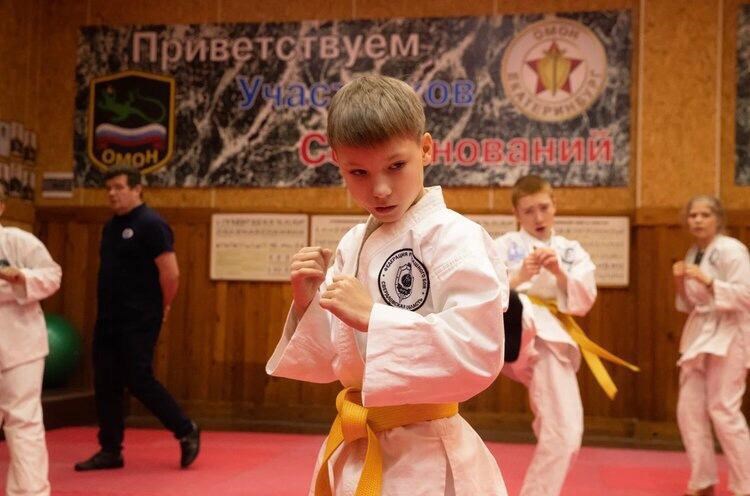 Обложка произведения Школьник