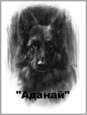 Обложка произведения АДАНАЙ