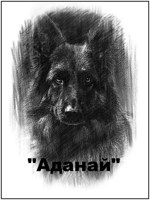 Обложка произведения АДАНАЙ