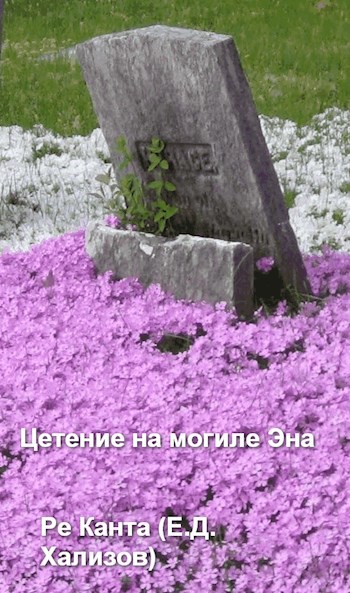 Обложка произведения Цветение на могиле Эна