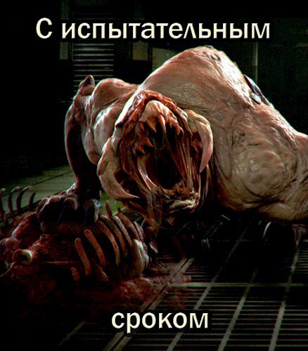 Обложка произведения С испытательным сроком