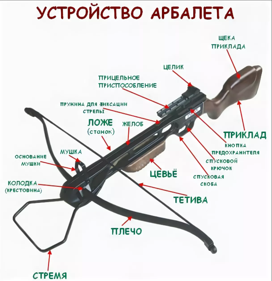 Фабы и арбалеты текст. Конструкция блочного арбалета чертежи. Спусковой механизм для арбалета чертежи. Ложе для арбалета чертеж. Арбалет строение схема.