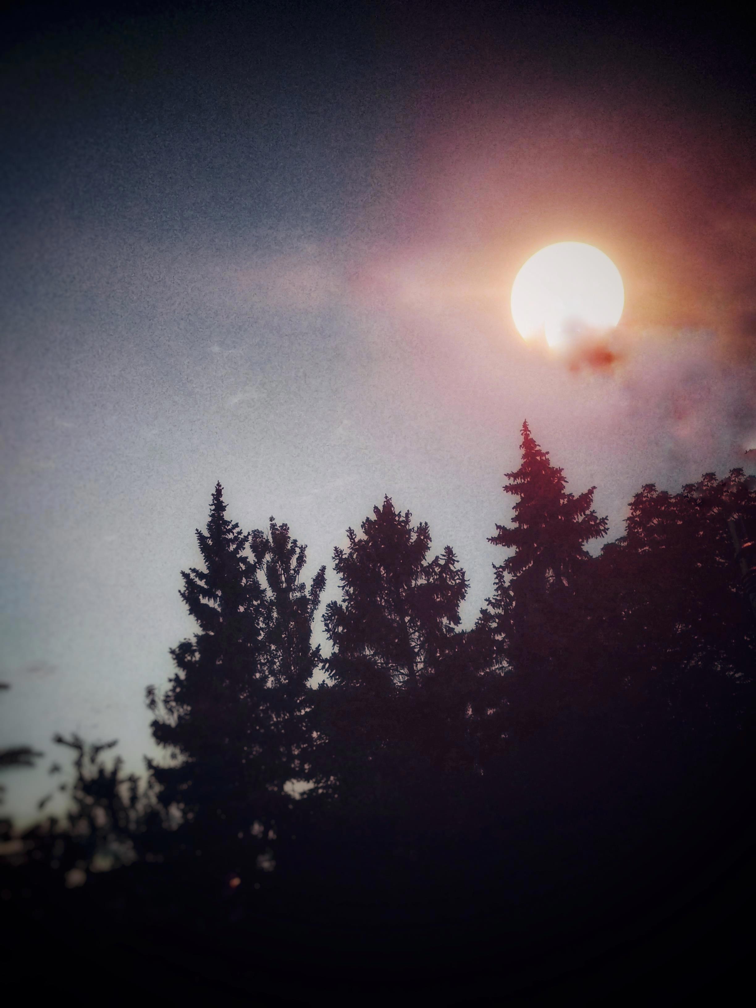 5b35dcb517764409be1ca5e91ca50706.jpeg