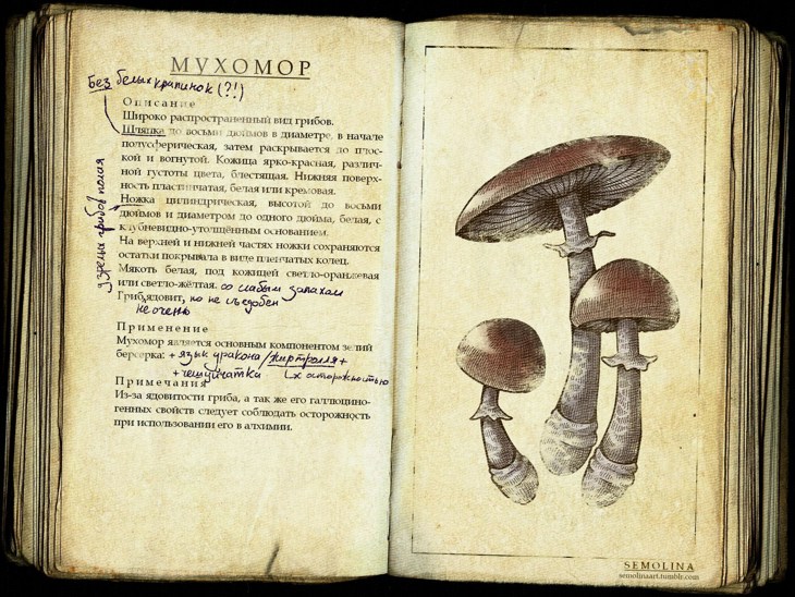 Иллюстрация