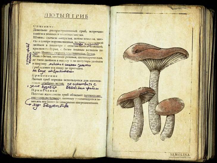 Иллюстрация