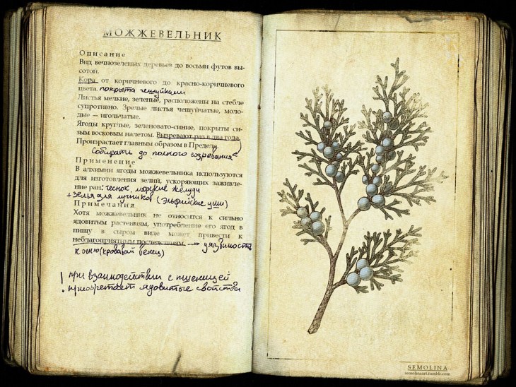 Иллюстрация