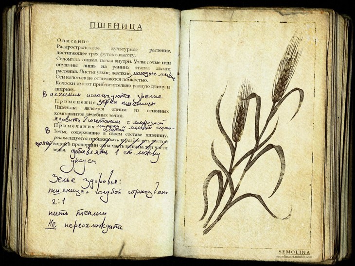 Иллюстрация