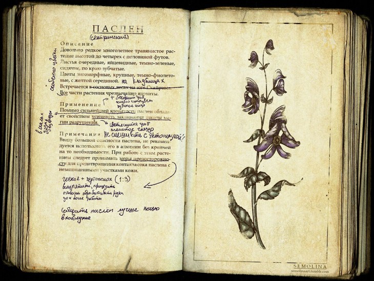 Иллюстрация