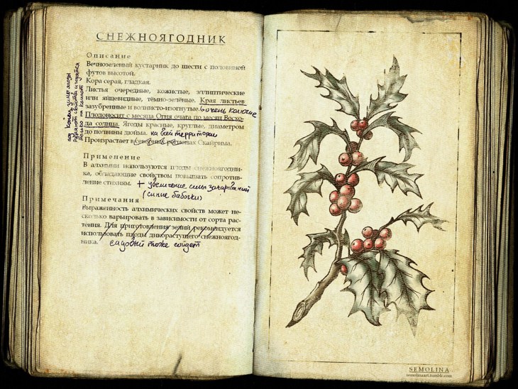 Иллюстрация
