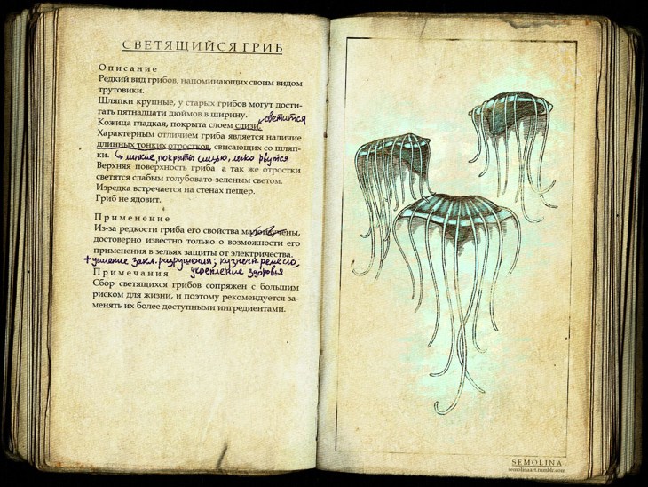 Иллюстрация