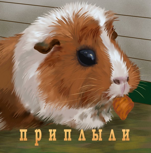 Иллюстрация