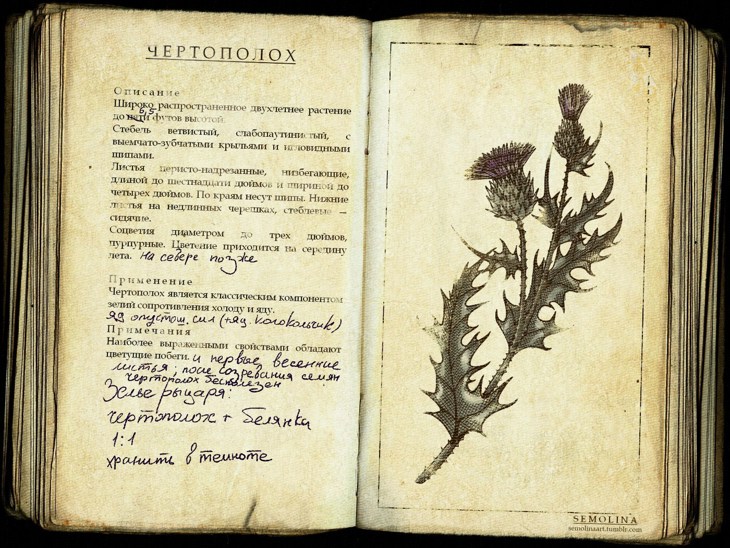 Иллюстрация