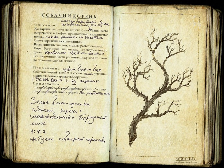 Иллюстрация