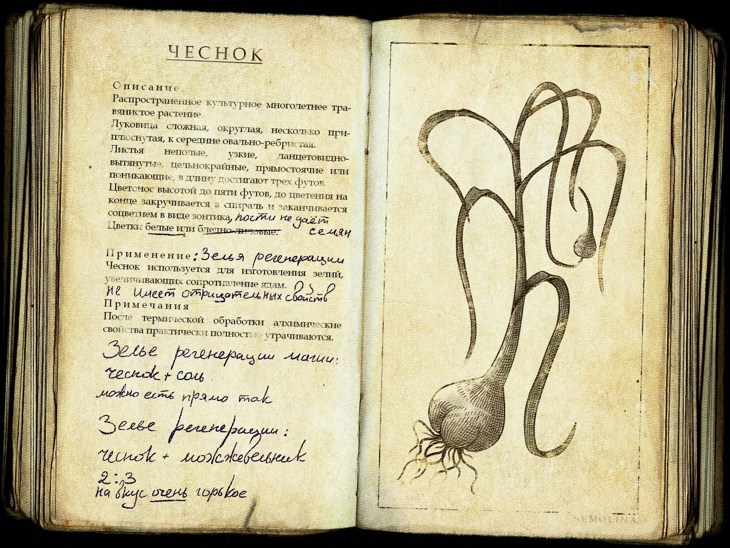 Иллюстрация