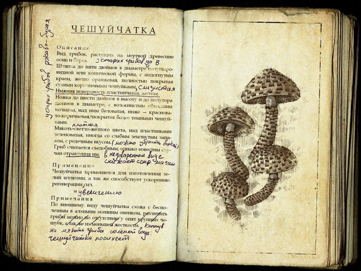 Иллюстрация