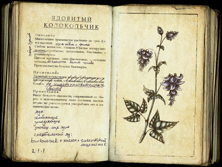 Иллюстрация