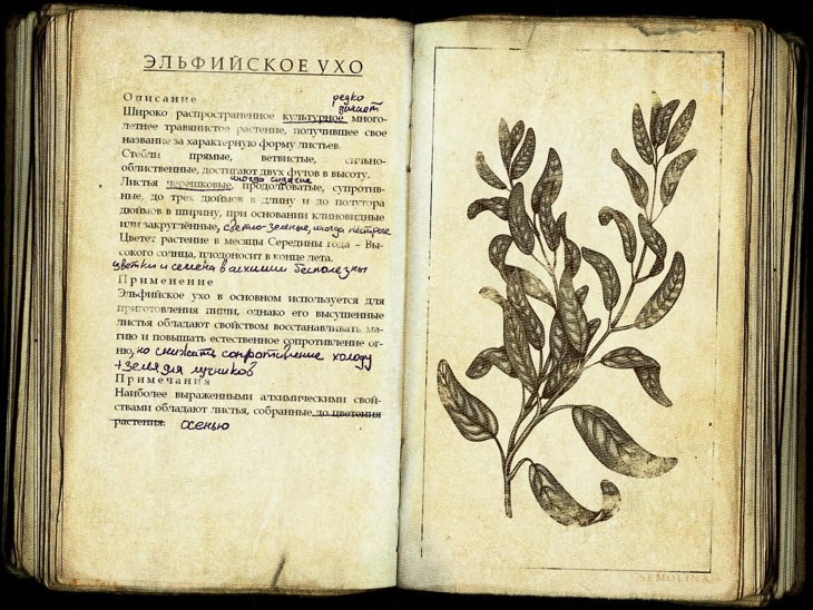 Иллюстрация