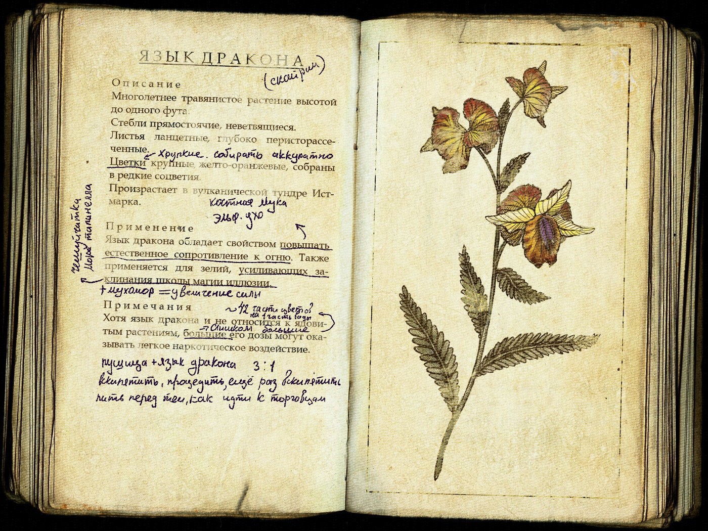 Растение на котором писали первые книги. Алхимические травы растения для алхимии. Книга о травах старинная. Старые книги про растения. Травник книга.