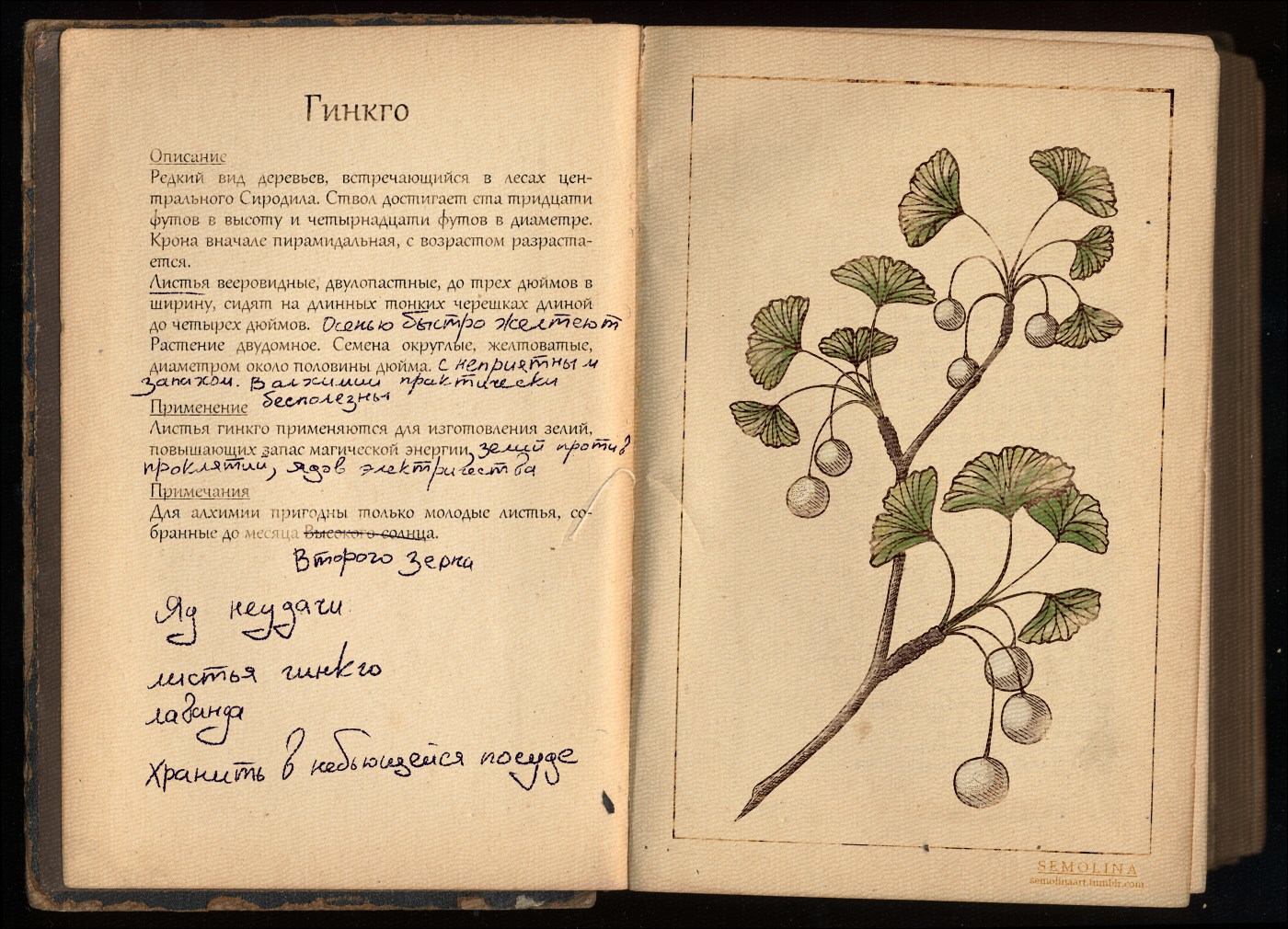 Язык растений книга