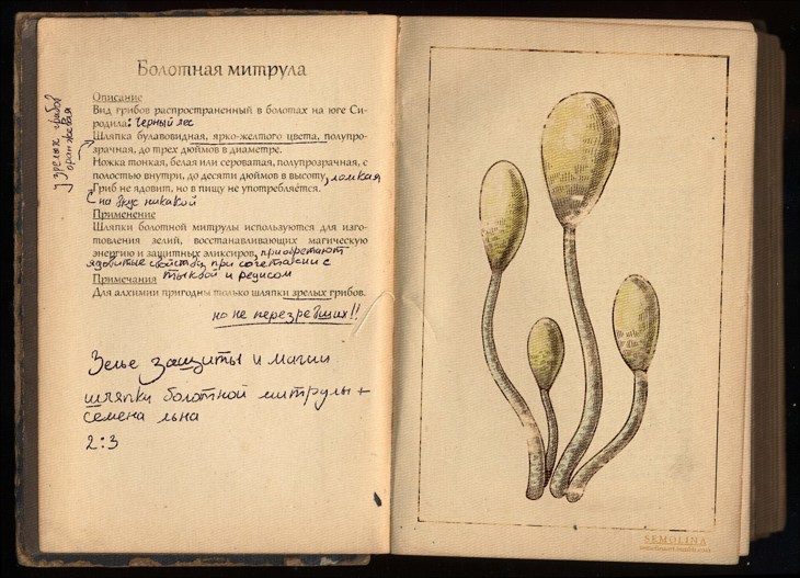 Иллюстрация