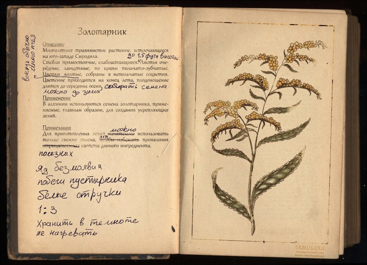 Иллюстрация