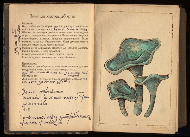Иллюстрация