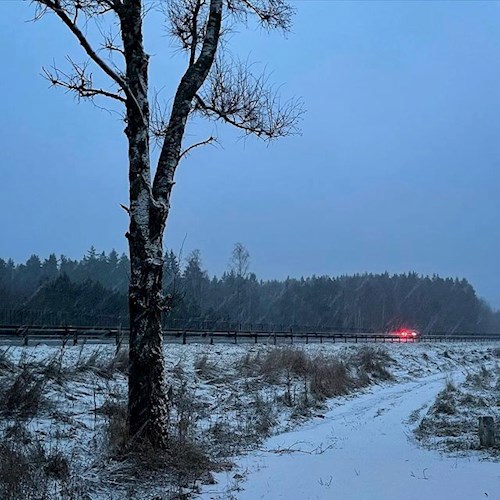Обложка произведения Район сна