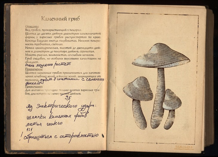 Иллюстрация
