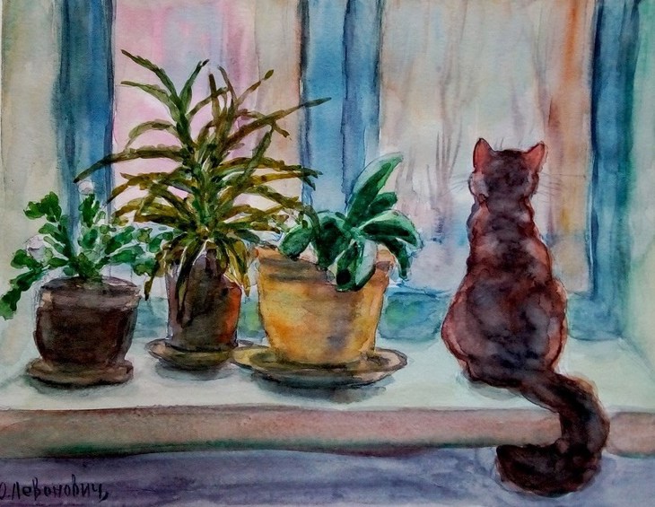 Иллюстрация