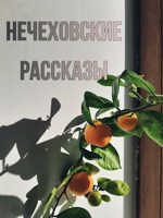 Обложка произведения Нечеховские рассказы