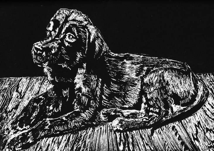 Иллюстрация