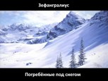 Обложка произведения Погребённые под снегом
