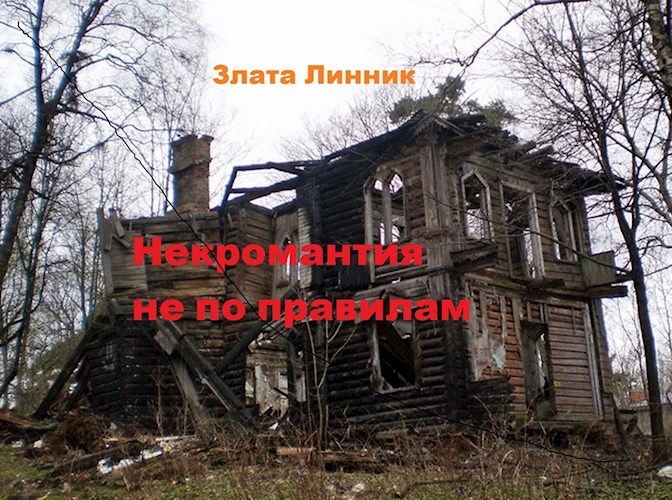 Обложка произведения Некромантия не по правилам