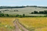 Обложка произведения Переводы и перепевы