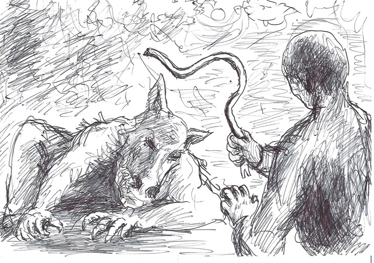 Иллюстрация