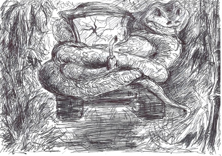 Иллюстрация