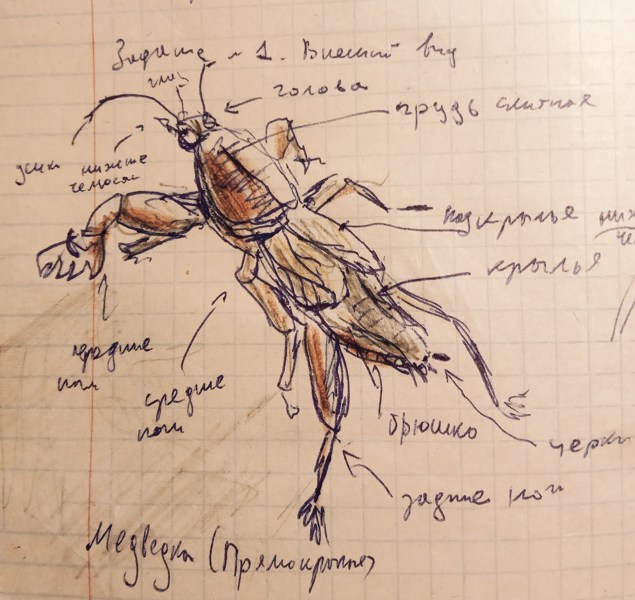 Иллюстрация