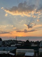 Обложка произведения Не читайте мистику на ночь