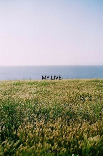 Обложка произведения My live