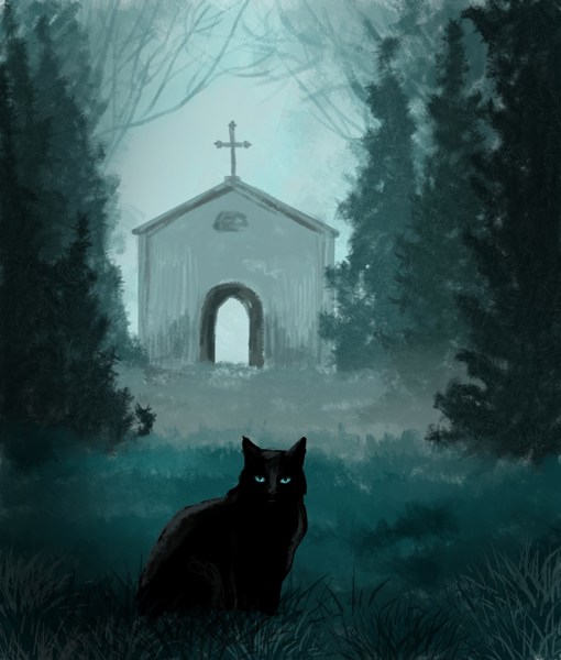 Иллюстрация