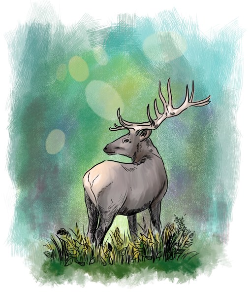 Иллюстрация